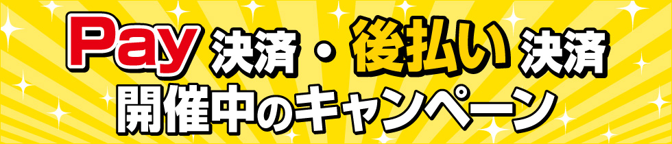 ■PAYキャンペーン