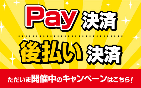 Pay決済・後払い決済　開催中のキャンペーンはこちら！