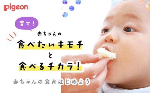 Pigeon 育て! 赤ちゃんの食べたいキモチと食べるチカラ！