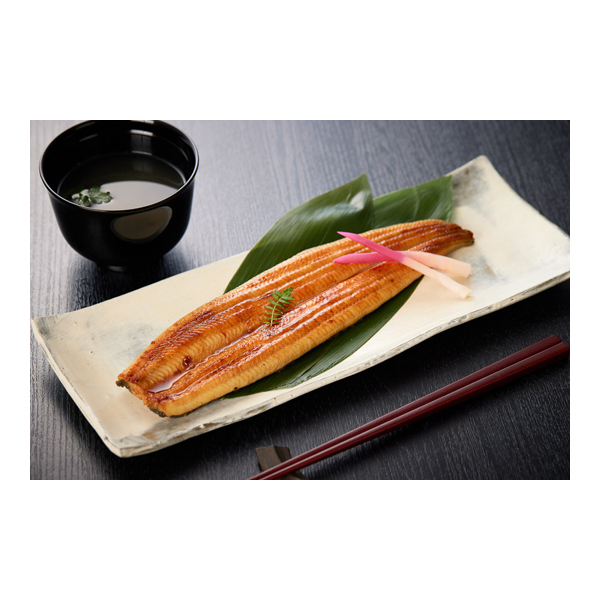 【夏ギフト】 綱正国産うなぎ蒲焼長焼2尾セット (内祝いギフト) 送料当社負担