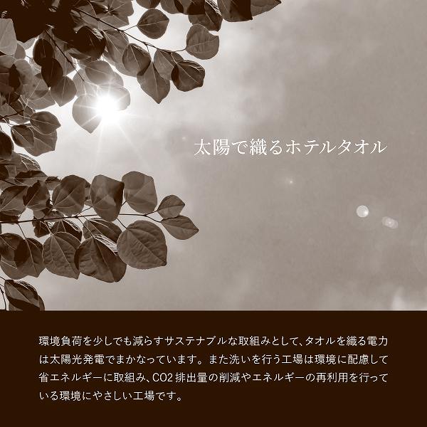 サステナブル THE HOTEL ホテル仕様フェイス・ゲストタオルセット 65433(内祝いギフト)