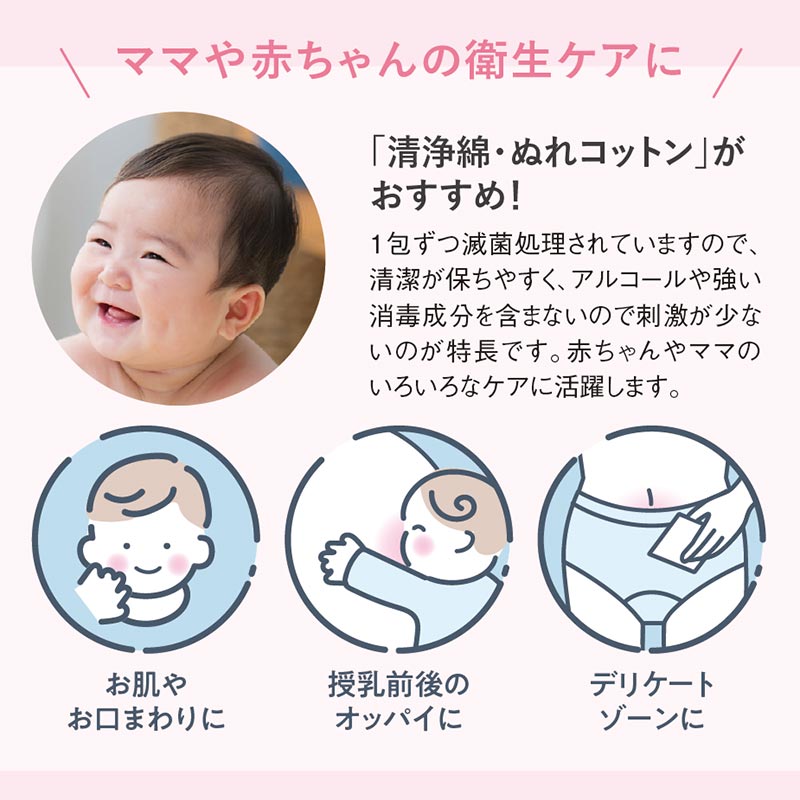 清浄綿 100包(1包2枚入)