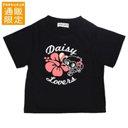 【SALE】【通販限定】[ジュニア]半袖Ｔシャツ　ＤＡＩＳＹ　ＬＯＶＥＲＳ(デイジーラバーズ）　ブラック