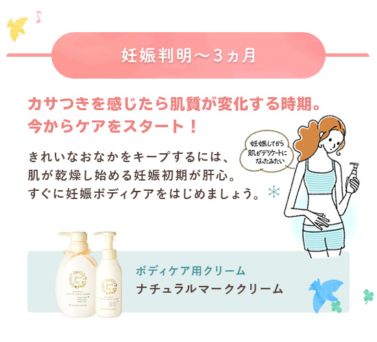 ボ妊娠判明～3カ月期におすすめのケア