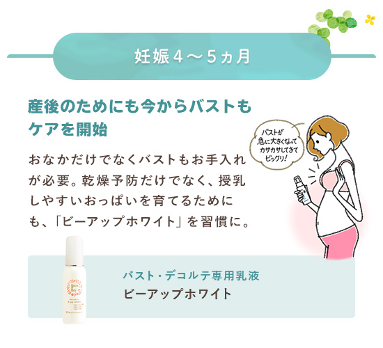 妊娠4～5カ月期におすすめのケア